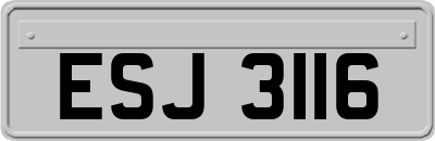 ESJ3116