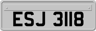 ESJ3118