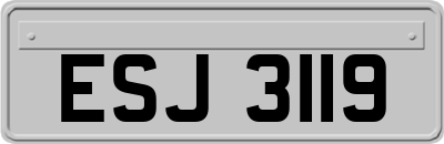 ESJ3119