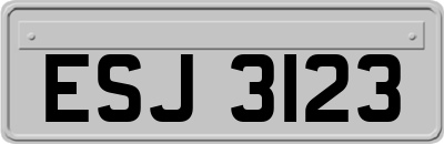 ESJ3123
