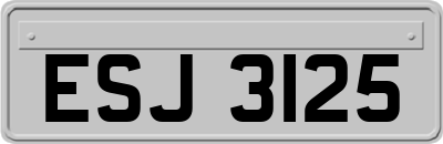 ESJ3125