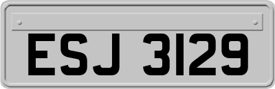 ESJ3129