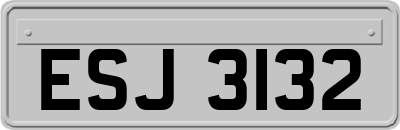 ESJ3132