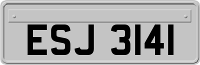 ESJ3141