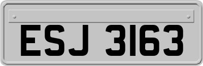 ESJ3163