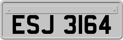 ESJ3164