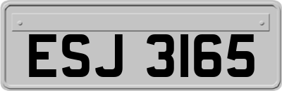 ESJ3165