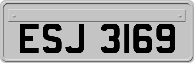 ESJ3169
