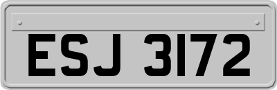 ESJ3172
