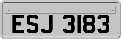 ESJ3183