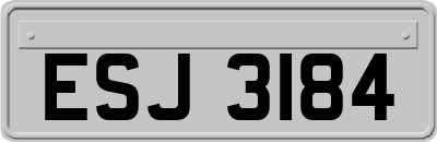 ESJ3184