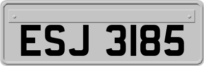 ESJ3185