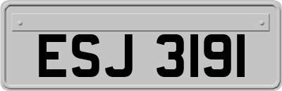 ESJ3191
