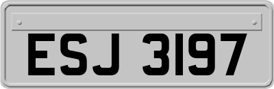 ESJ3197