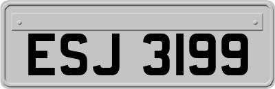 ESJ3199
