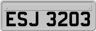 ESJ3203