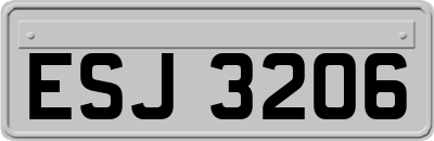 ESJ3206