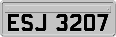 ESJ3207