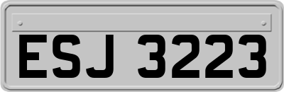 ESJ3223