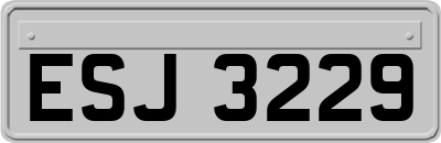 ESJ3229