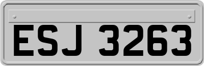 ESJ3263