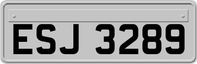 ESJ3289