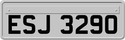 ESJ3290