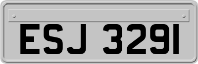 ESJ3291