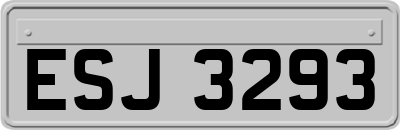 ESJ3293