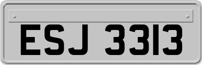 ESJ3313