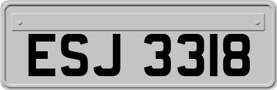 ESJ3318