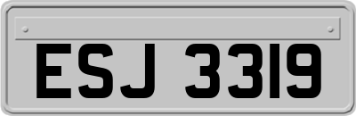 ESJ3319