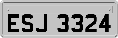 ESJ3324