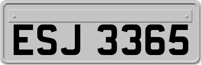 ESJ3365