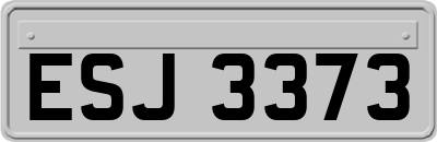 ESJ3373