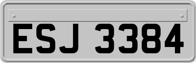 ESJ3384