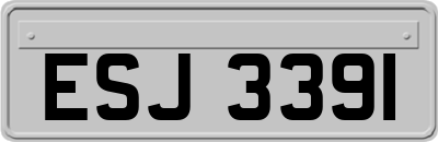 ESJ3391