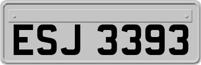 ESJ3393