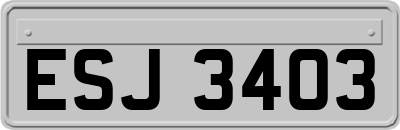 ESJ3403