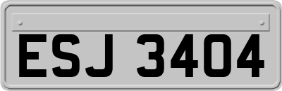 ESJ3404