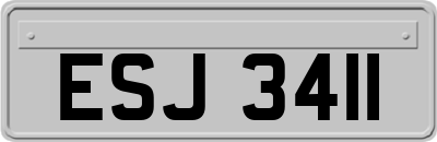 ESJ3411