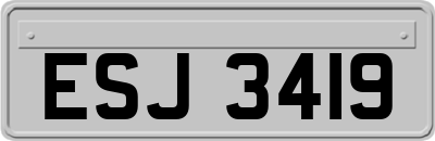 ESJ3419