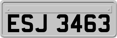 ESJ3463