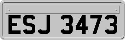 ESJ3473