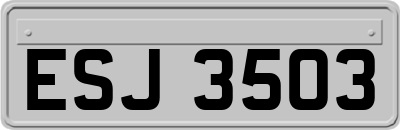 ESJ3503