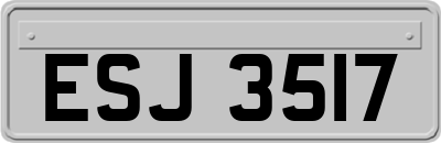 ESJ3517