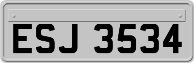 ESJ3534