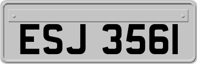 ESJ3561