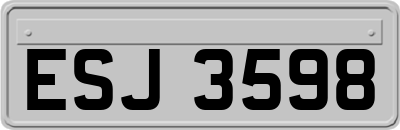 ESJ3598