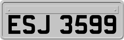 ESJ3599